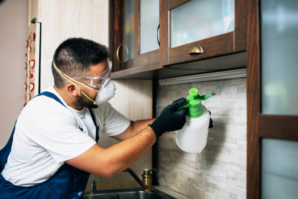 Best Affordable Pest Control Services  in Normandy, MO