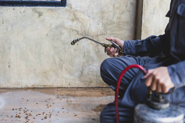 Best Best Pest Control Companies  in Normandy, MO